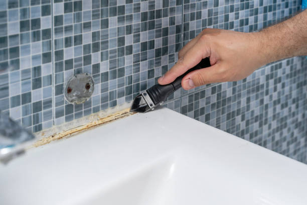Best Kitchen Mold Remediation in Ragland, AL