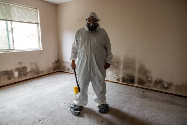Best Mold Remediation for Specific Building Types in Ragland, AL